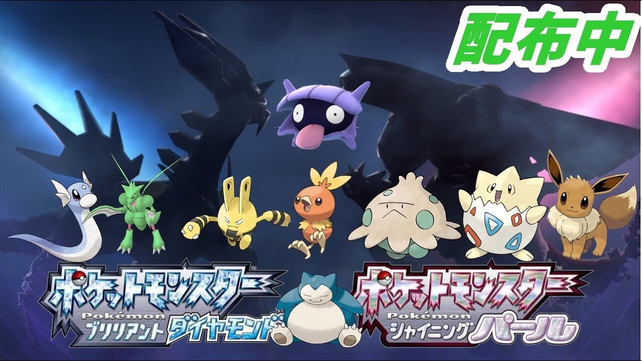 ポケモン　ダイパリメイク　　配布対戦配信　　通信進化お手伝いします　ハスボー　ルアボヨーギラス　ムンボイーブイ　カビゴン ストライク　フカマル　アチャモ　ニューラ　ヒコザル等