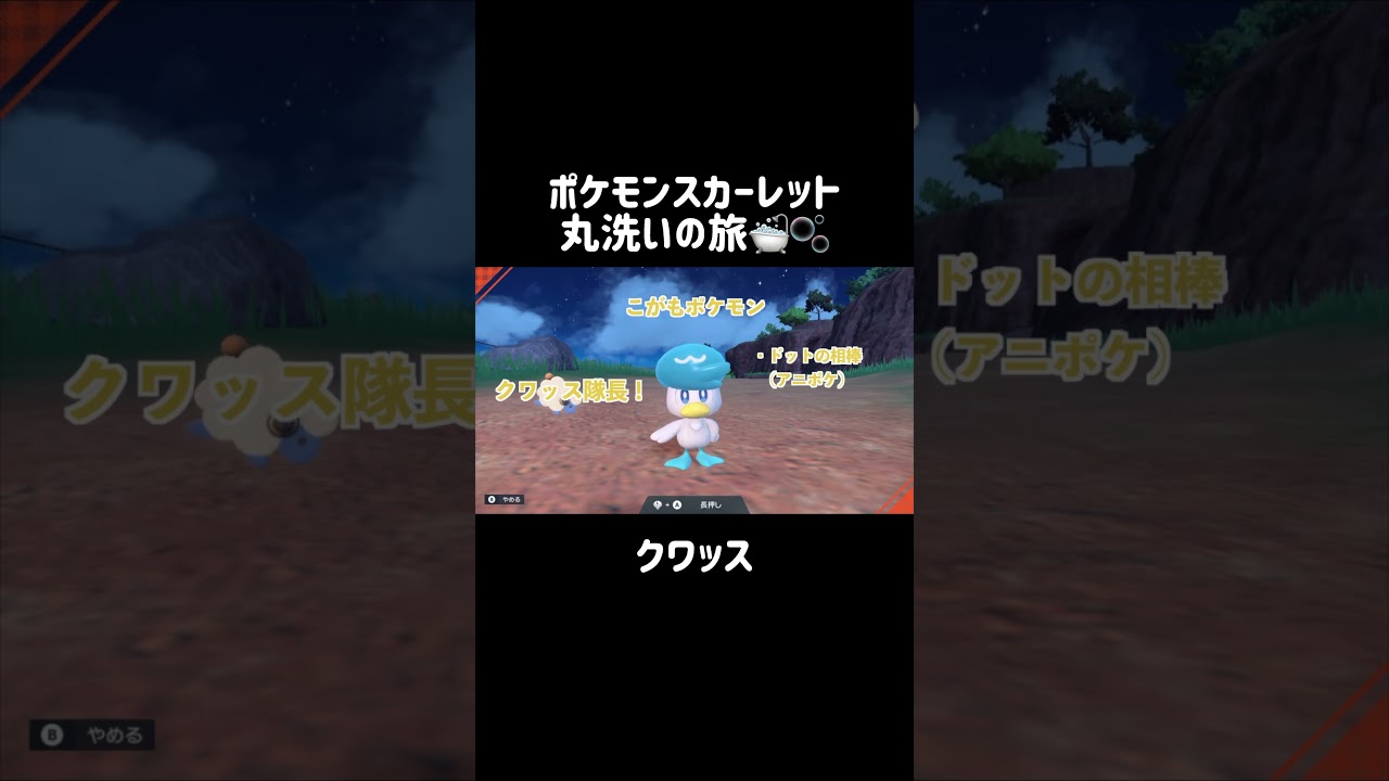 クワッスの髪の毛を洗ってみると…？🐥🫧 #ポケモンsv #ポケモンスカーレット #ポケモン #クワッス #quaxly #shorts