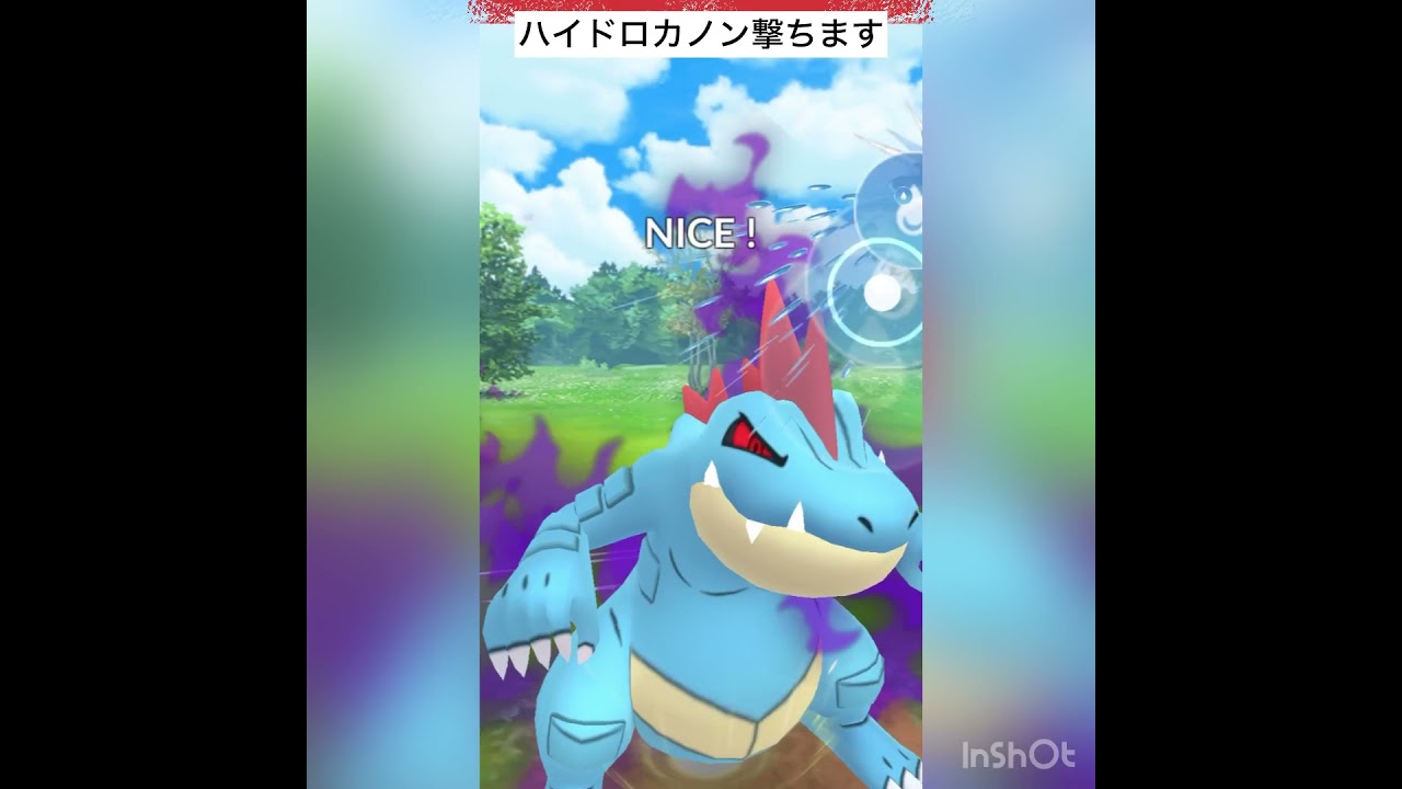 カプ・コケコがやってくれた！(◎_◎;)
