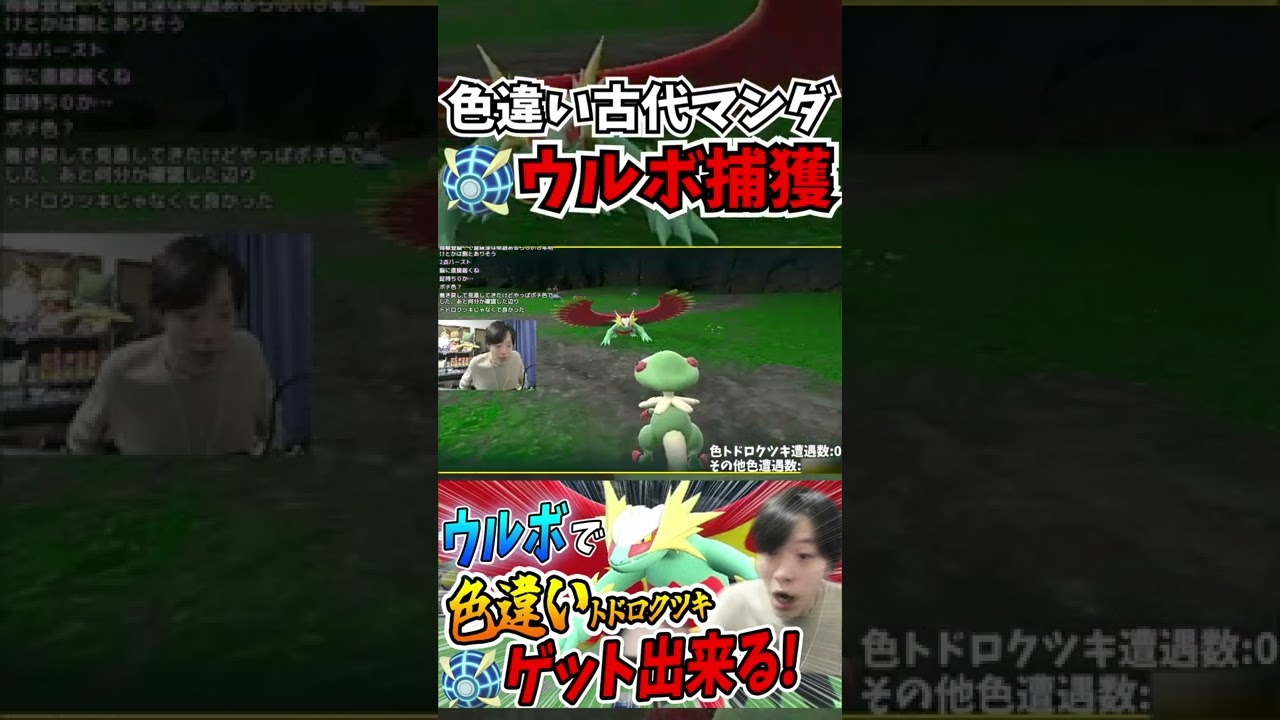 【ポケモンSV】色違いトドロクツキをウルトラボールでゲット！【ポケモンスカーレット/バイオレット】しろーん 切り抜き/リアクション