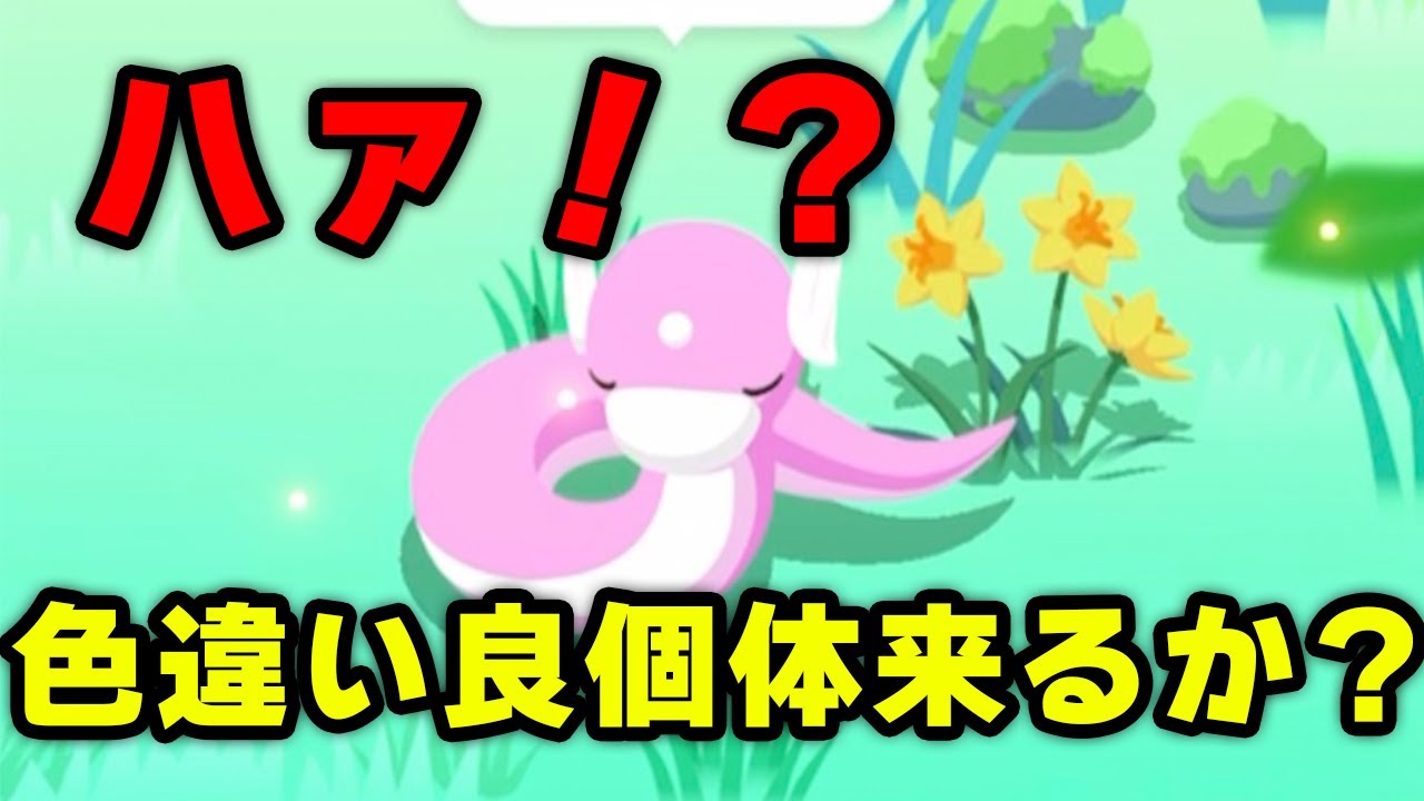 色違いミニリュウの良個体はくるのか！？【ポケモンスリープ】