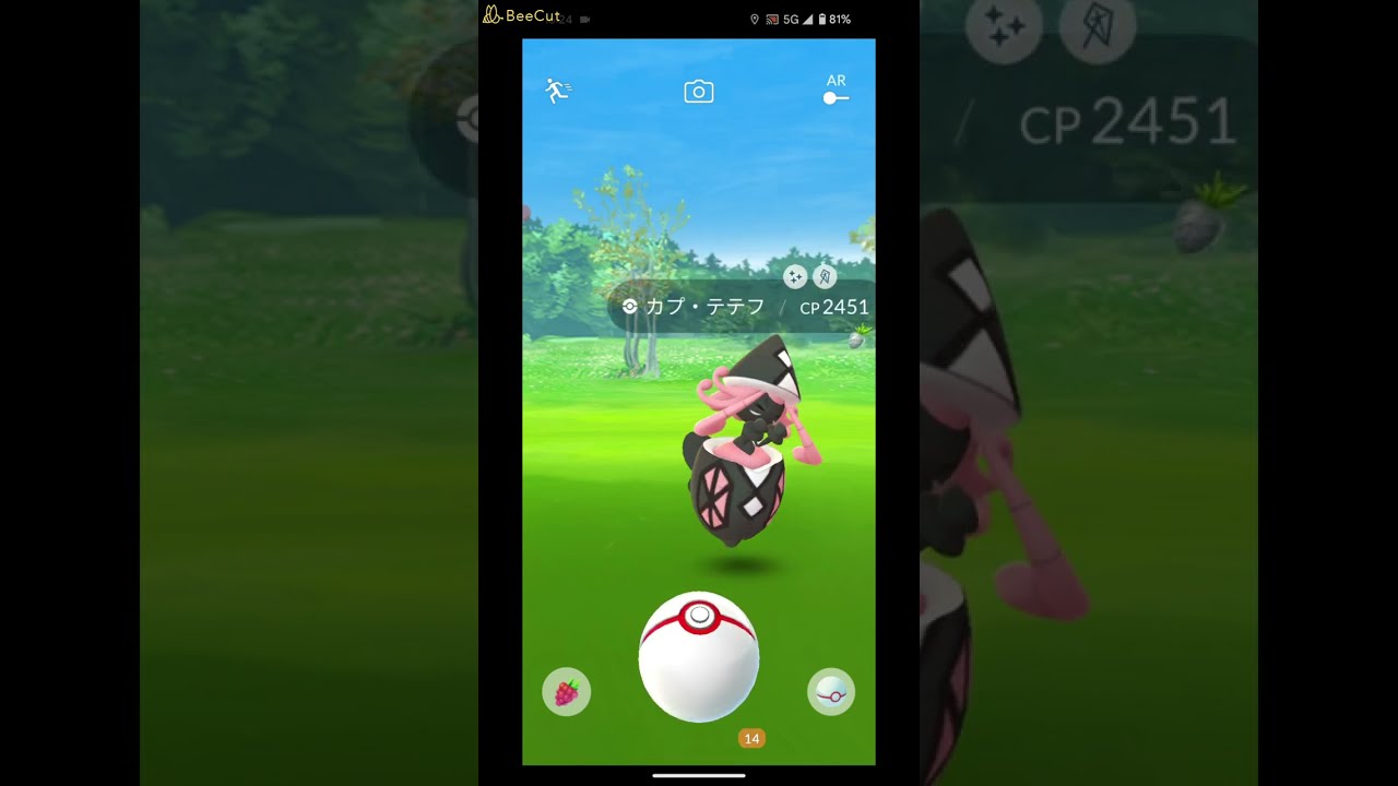 【ポケモンGO】LV5 色違いカプ・テテフ レイドバトル①