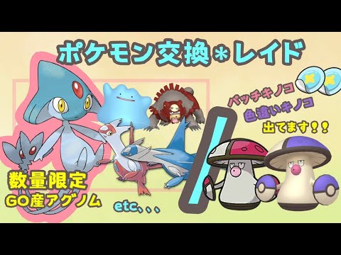 2パッチと色モロバレルレイド🔴交換GO産エムリット・アグノムラティ兄妹ランドロス色ガチグマ海外産色メタモン6V少しメタモン6v/A0/S0/]「Pokémon」「ポケモンSV」3月25日