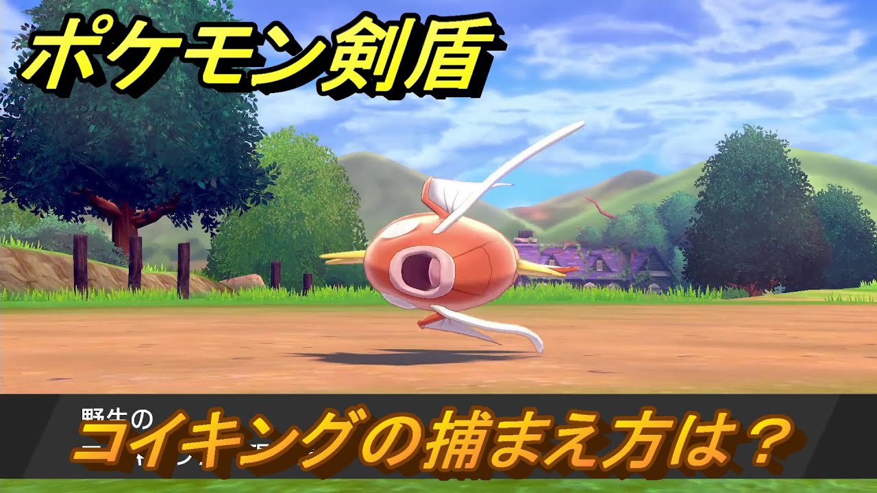 ポケモン剣盾　コイキングを捕まえる方法！オススメの場所は？天気は？ポケモン図鑑コンプへの道！　最新版【ポケモンソード・シールド】
