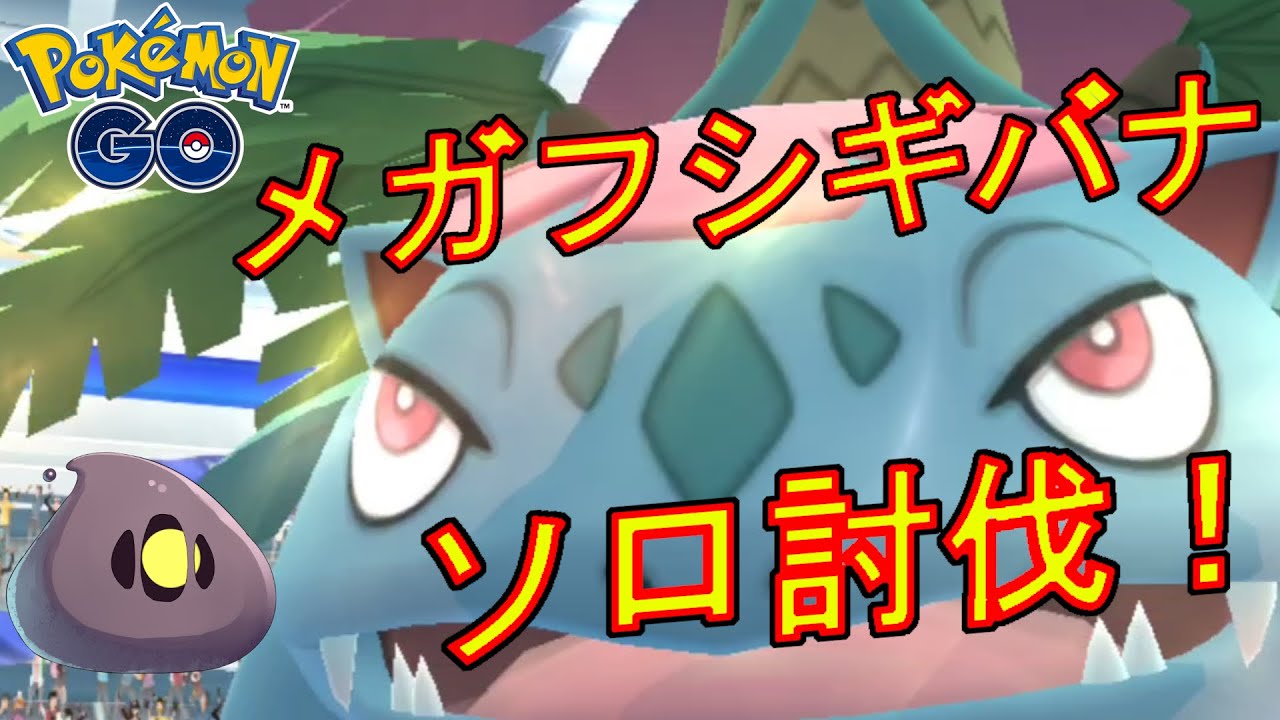 メガフシギバナをソロ討伐した動画。【ポケモンGO】