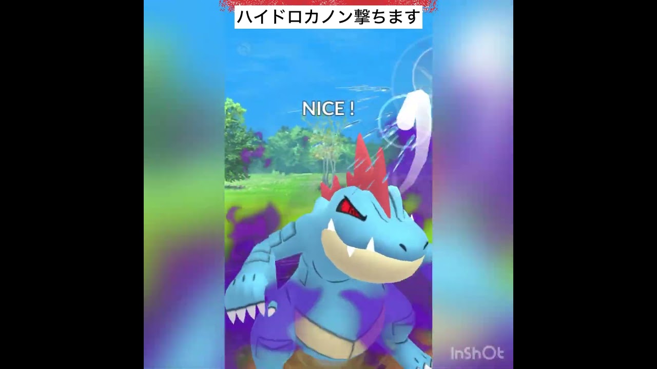 初手にカプ・コケコ‼️