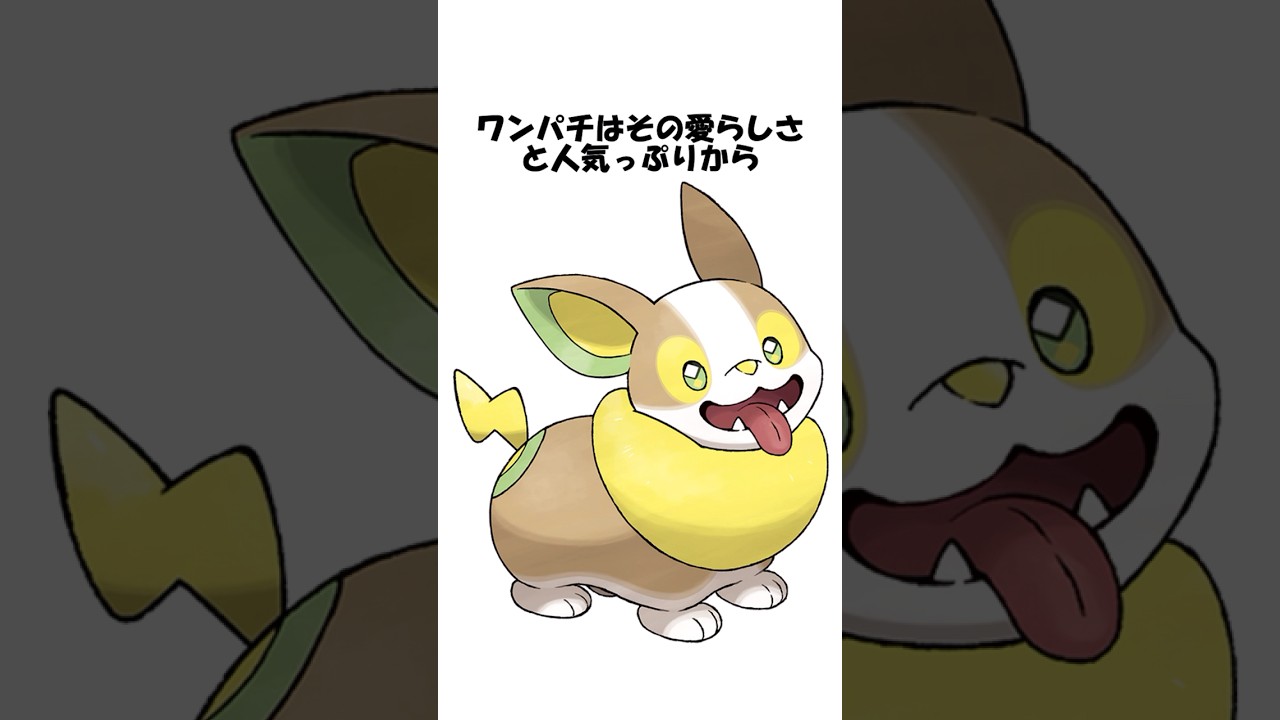 【ポケモン】ワンパチに関する雑学 #shorts #ポケモン #pokemon #ポケモン雑学