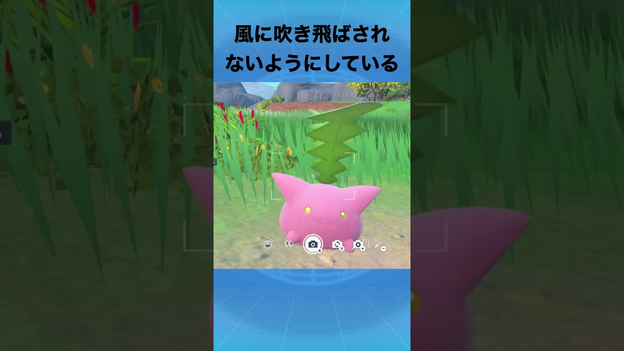 ハネッコについて #ポケモン #ハネッコ #草