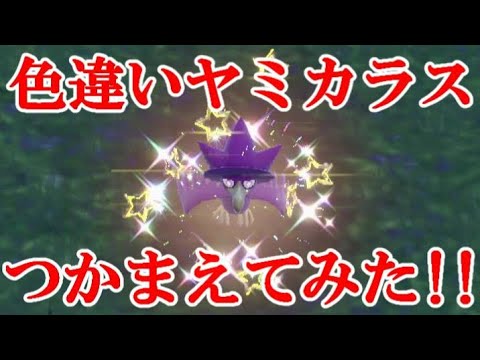 【ポケモンSV】色違いヤミカラスつかまえてみた！！