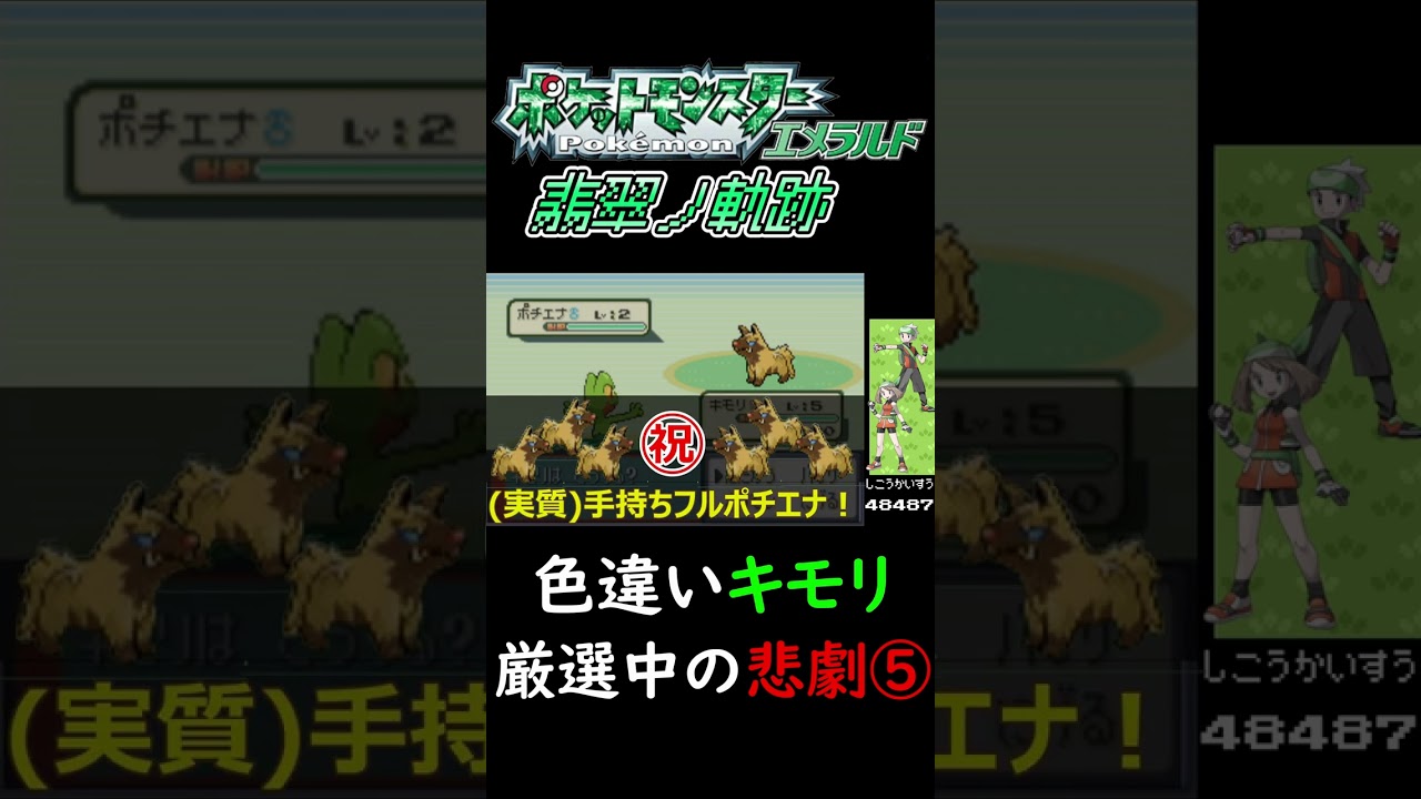 色違いキモリ厳選中の悲劇⑤