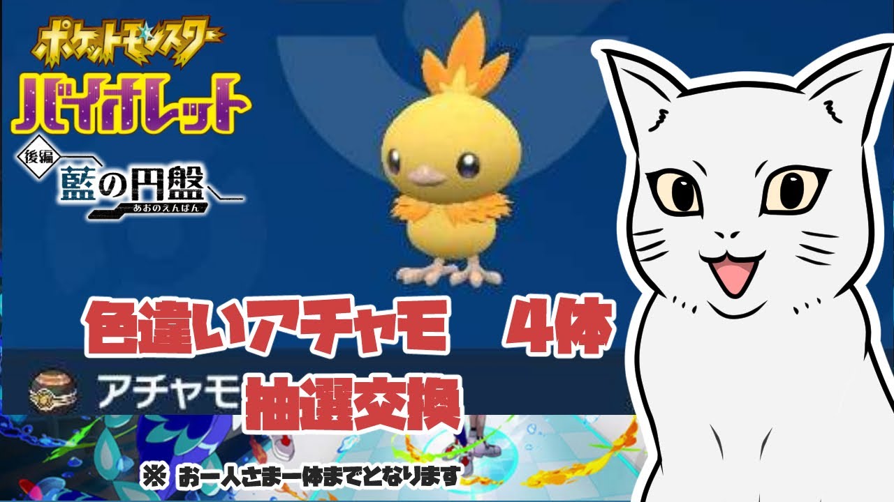 【ポケモンSV】色違い アチャモ 4体抽選交換   　＃ポケモン #ポケモンSV #ポケモン交換 ＃色違い #アチャモ