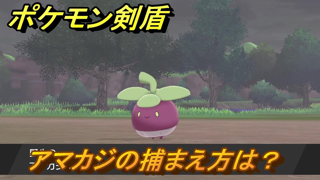 ポケモン剣盾　アマカジを捕まえる方法！オススメの場所は？天気は？ポケモン図鑑コンプへの道！　最新版【ポケモンソード・シールド】