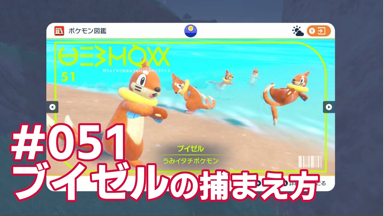 ブイゼルを探している方に見てほしい動画