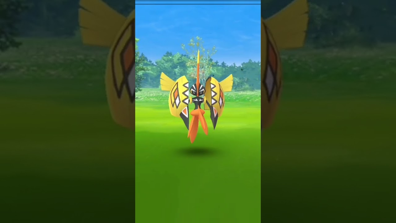 Catch Tapu Koko（カプ・コケコ）