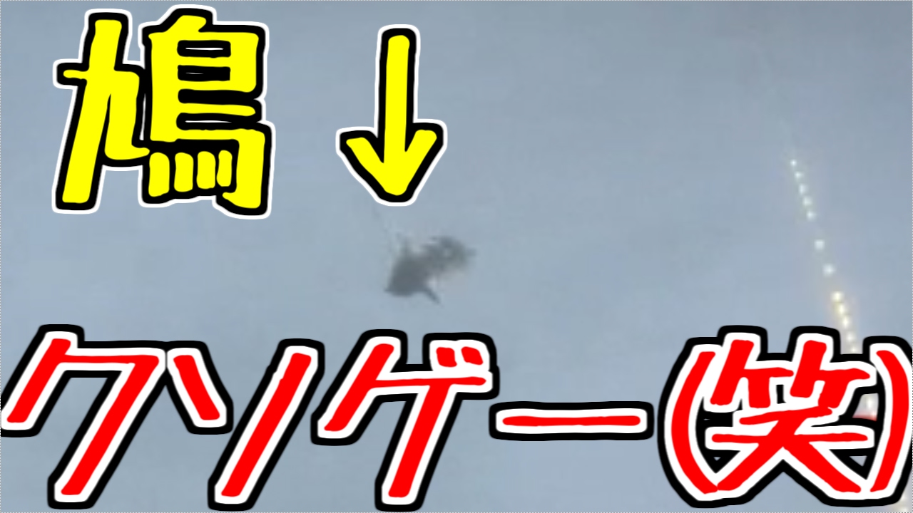 ウォーピジョンはクソゲー(笑)でした。【BF1】#2