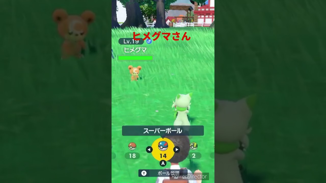【ポケモンバイオレット】ヒメグマさんと野で出会った　#ポケモンバイオレット #ゲームリハビリ