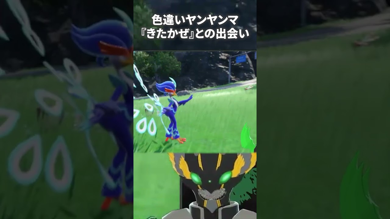 キタカミ入りして即色違いヤンヤンマ　#shorts