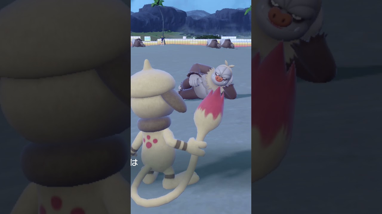 【ポケモンｓｖ】種族値６７０の最強？色違いケッキングをＧＥＴする