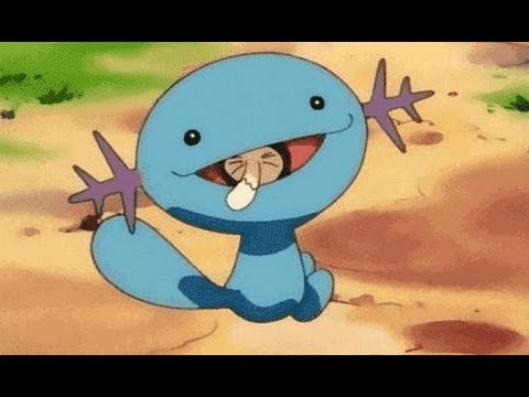 Why I  Love Wooper