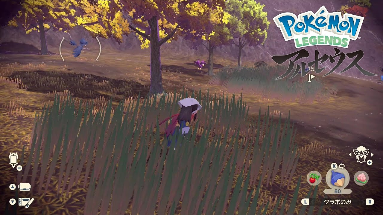 【色違い】Pokémon LEGENDS アルセウス『ヤミカラス』大量発生にて色違い✨