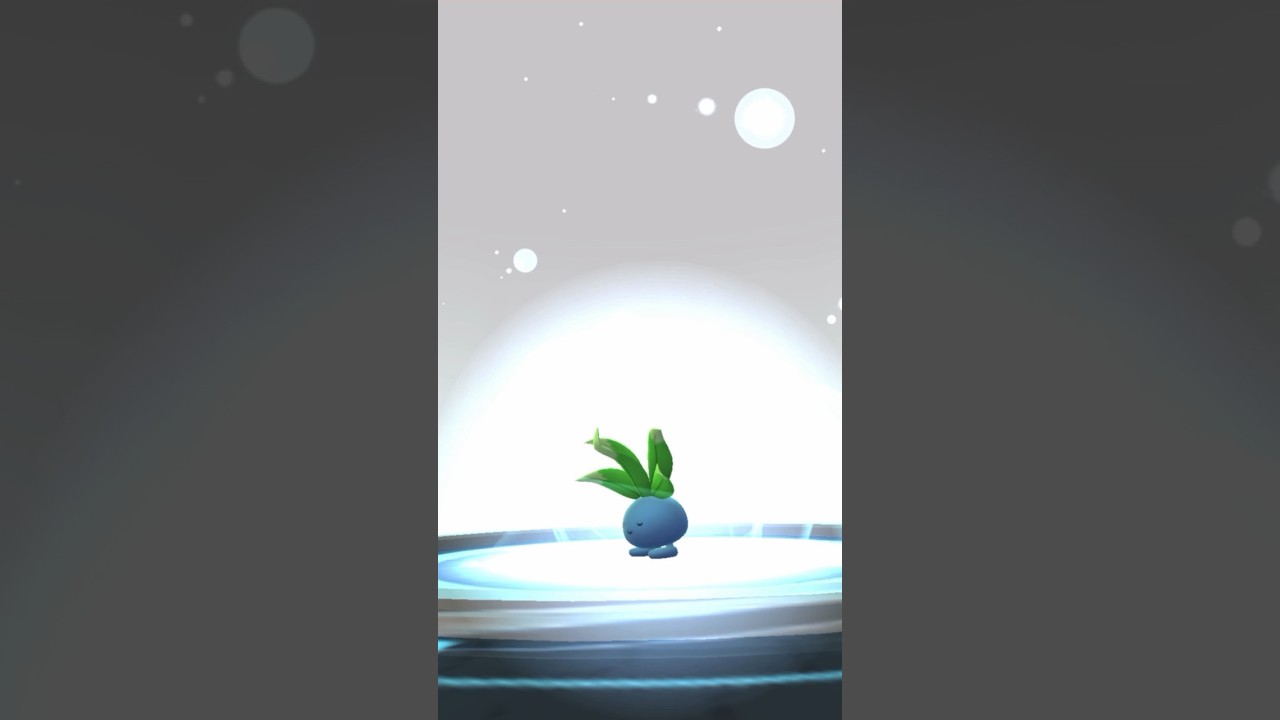 【 ポケモンgo 】 ナゾノクサ → クサイハナ 進化！目つむな顔かわいい！【 うさぴよの巣 】#oddish #gloom #pokemongo #ポケモンgo #ポケgo