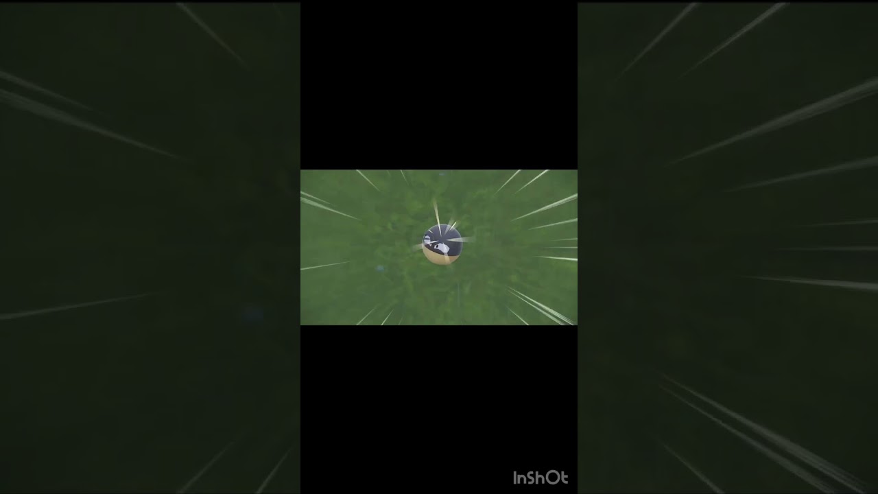 イベント限定！色違い証持ちヒスイビリリダマ　Shiny Voltorb  【ポケモンSV】#shorts
