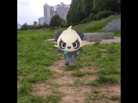 판짱  ( Pancham ) ヤンチャム ( 頑皮熊貓 )