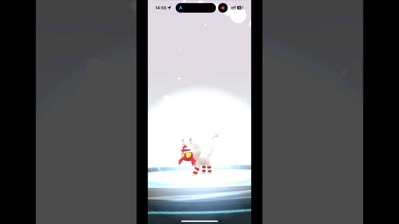 【ポケモンGO】色違いニャビーがあらわれた！/SHINY Litten appeared！ #shorts