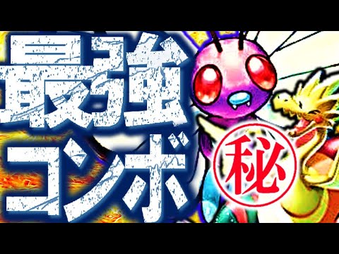 ありえん簡単に勝てる構築パッチラゴン×バタフリー解説‼(育成論 有)【ポケモン剣盾 対戦実況】