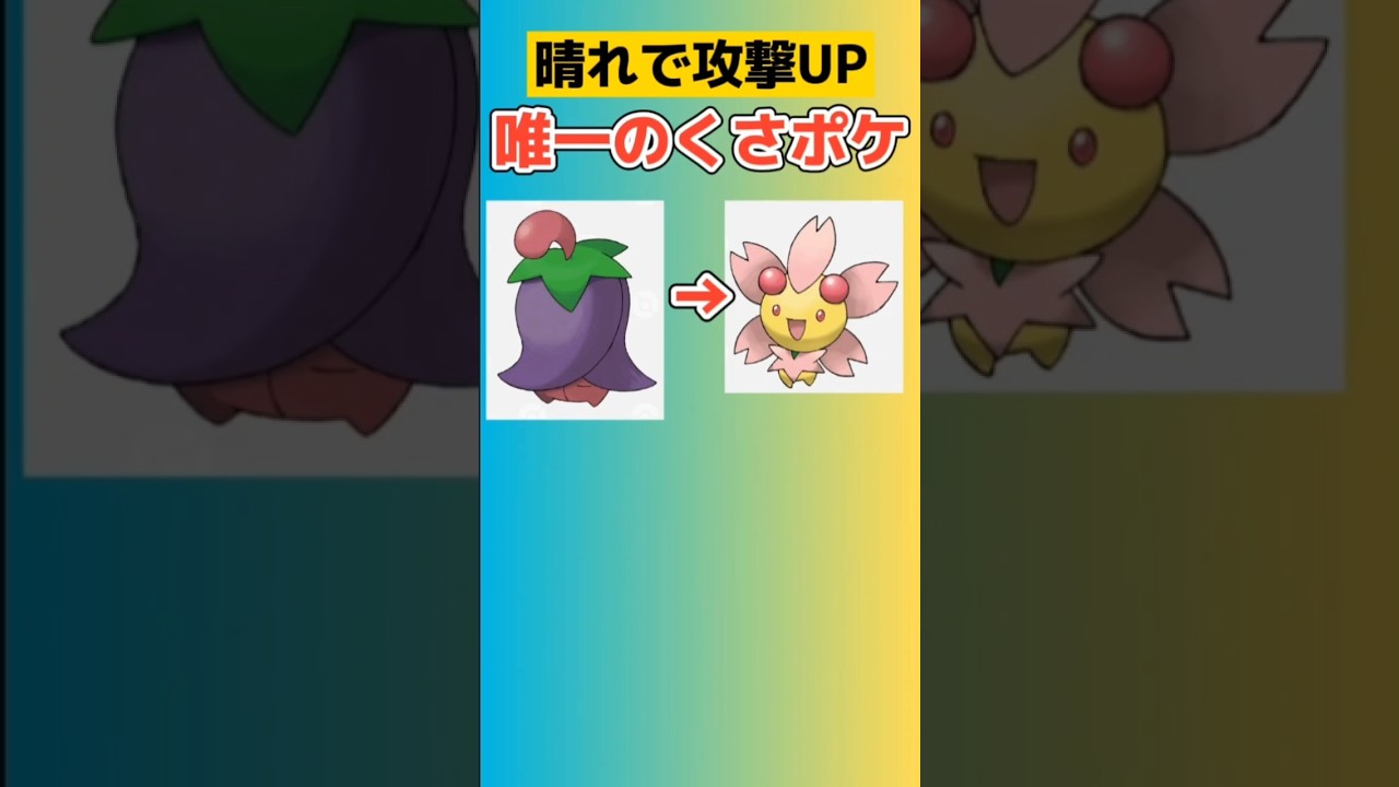 【ポケモン】晴れで攻撃UPする唯一のくさポケ「チェリム」 #ダイヤモンド・パール#チェリム