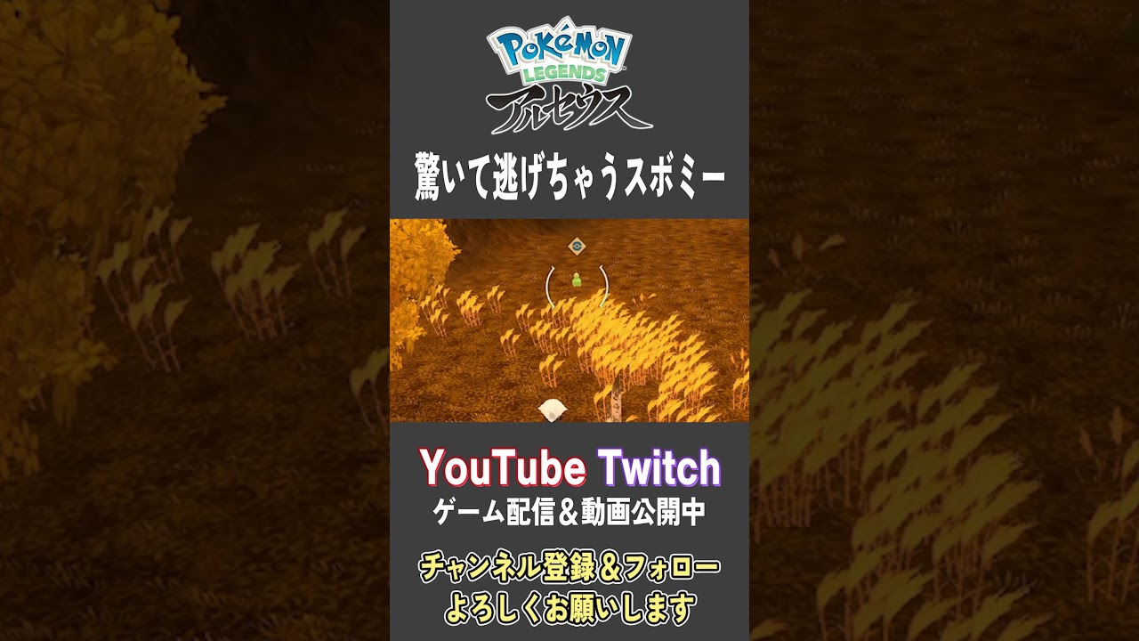 驚いて逃げちゃうスボミー【Pokemon LEGENDS アルセウス】【#Shorts】【#57】