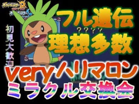 理想個体多数！！夢特性フル遺伝ハリマロン配布！！新規さん来たら無限延長【ポケモンUSM】