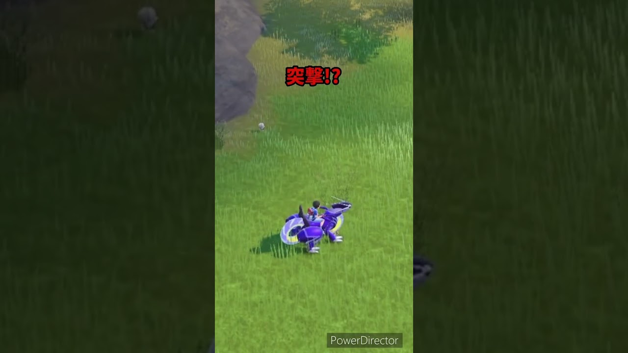 【ポケモンバイオレット】メグロコに突撃されたんですけど　#ポケモンバイオレット #ゲームリハビリ #shorts