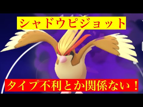 【スーパーリーグ】シャドウピジョットのブレイブバードが強すぎる‼️