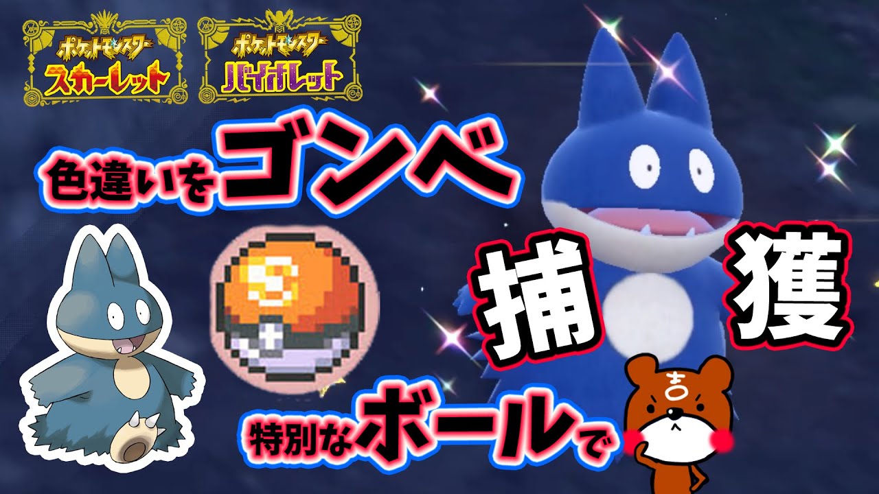【ポケモンSV】色違いゴンベをコンペボールで仲間にしたい！進化させて色違いカビゴンに！ポケモンスカーレットバイオレット
