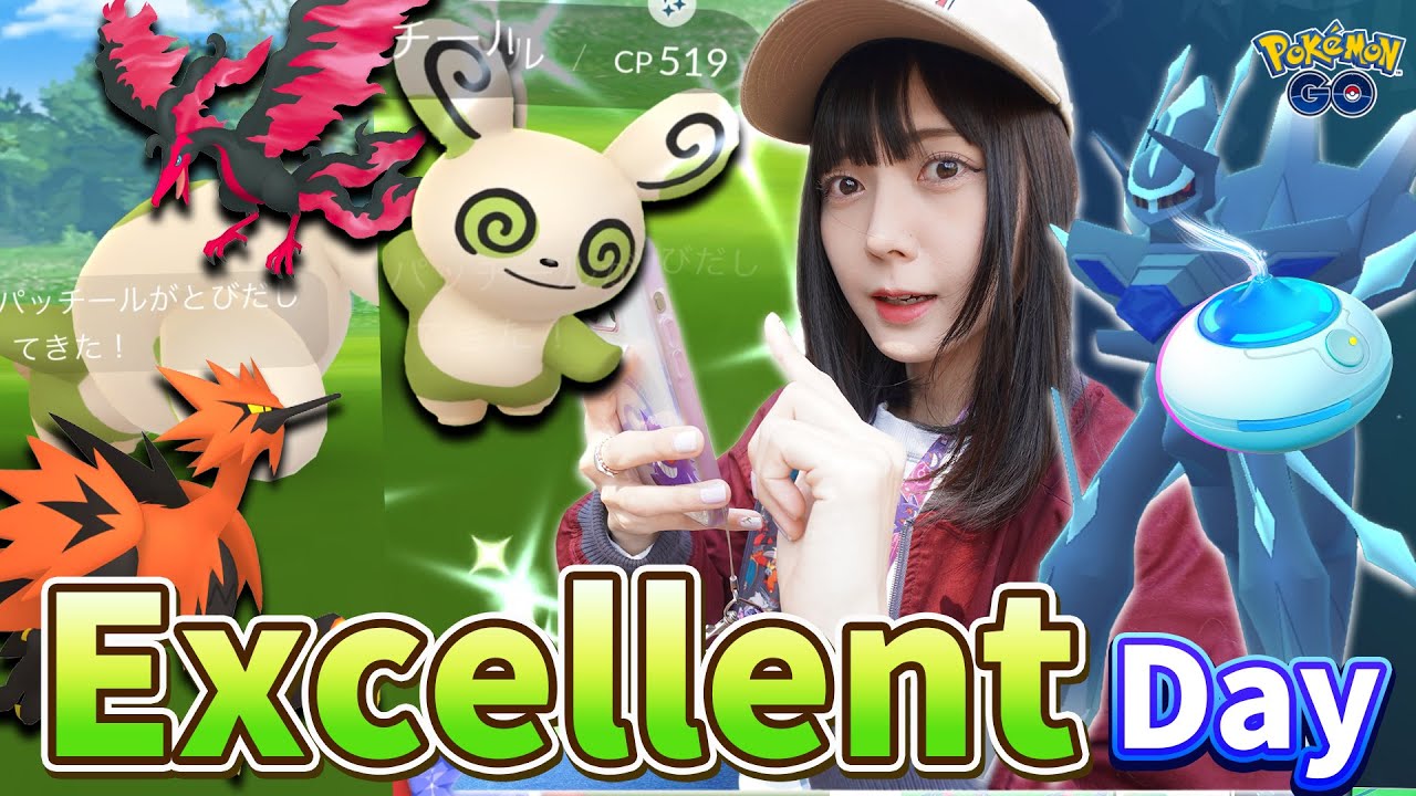 パッチール大量出現！Excellentスローが出やすいのでおさんぽおこうでガラル3鳥狙った結果…【ポケモンGO】