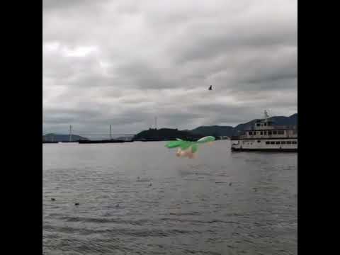 트로피우스 ( Tropius ) トロピウス ( 熱帶龍 )