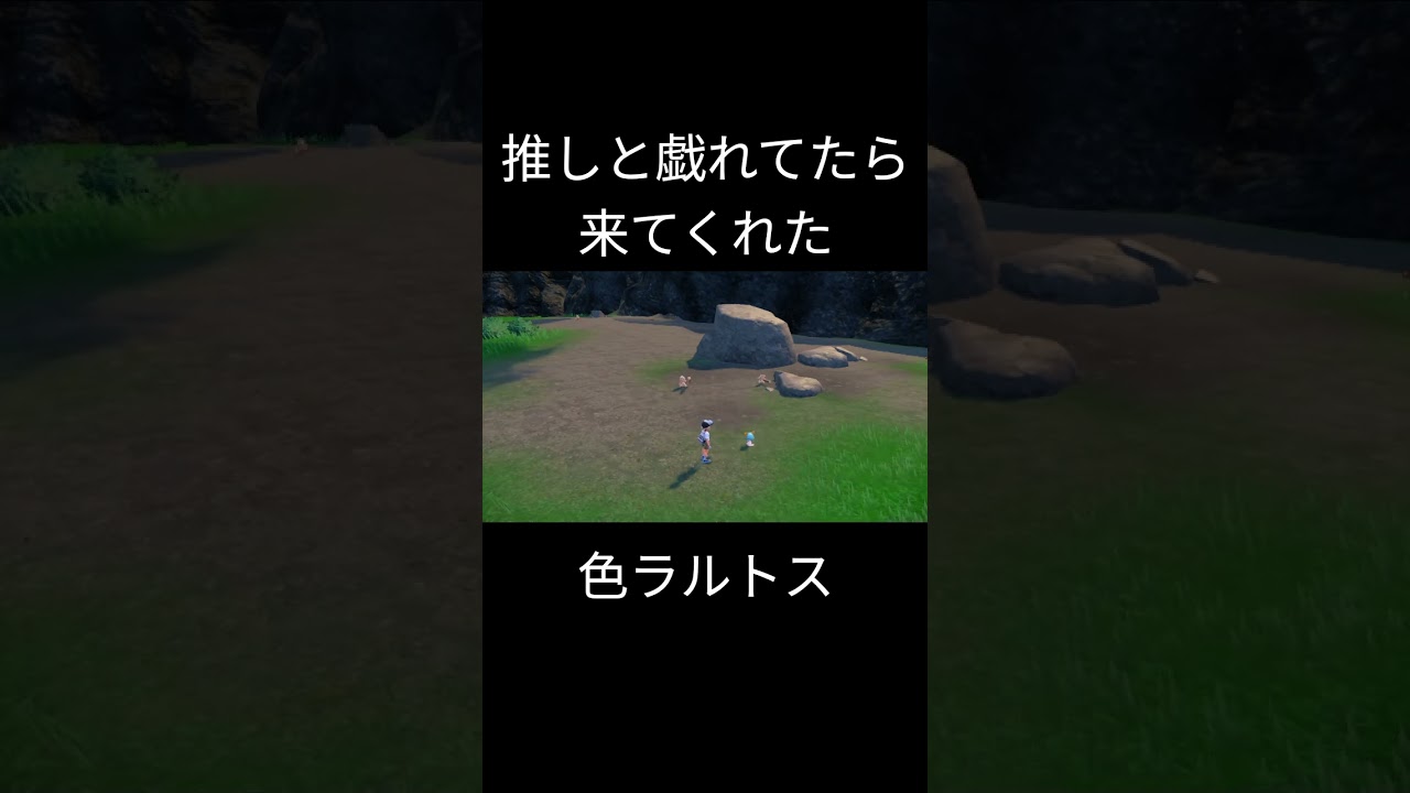 人になれている色違いラルトス　#ポケモンsv