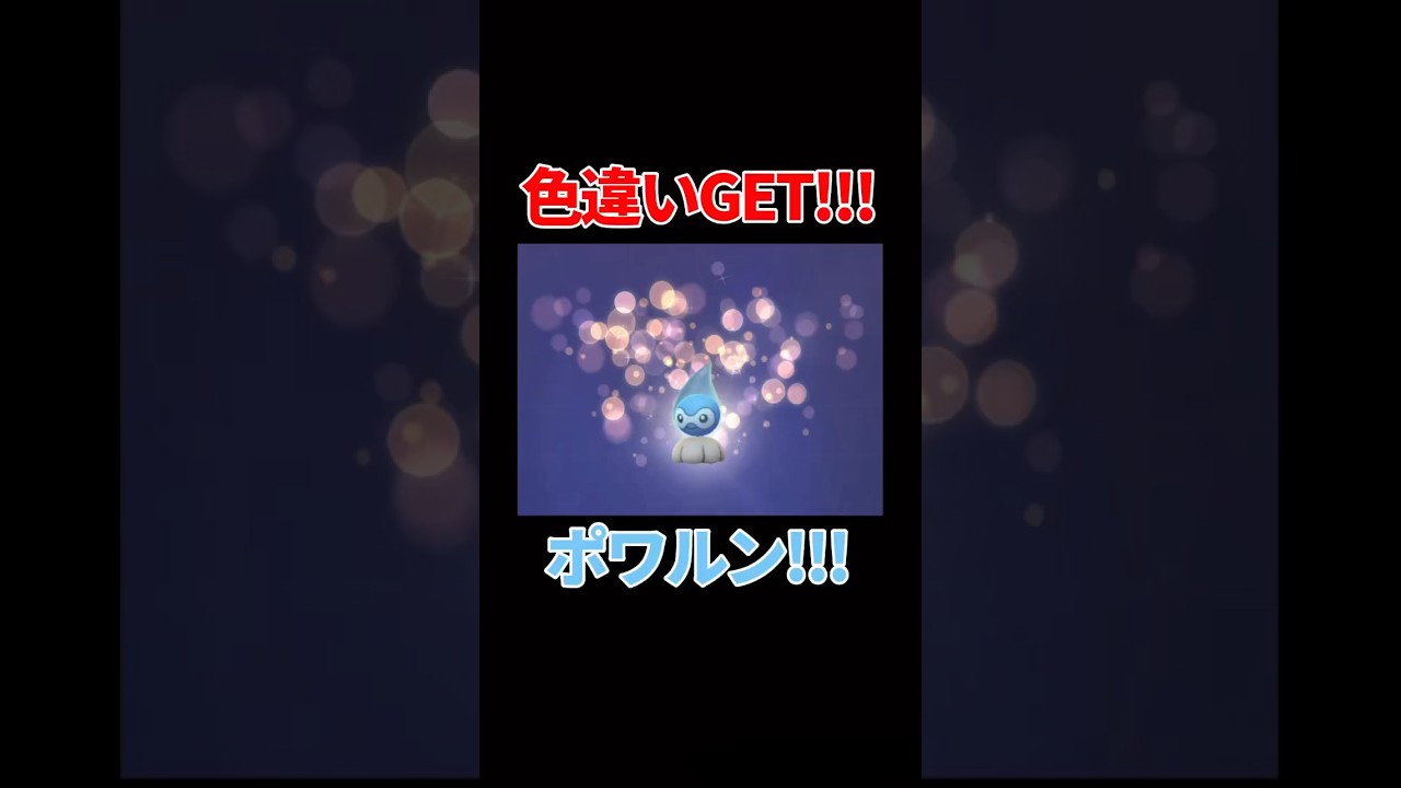 【ポケモンGO】色違いGET!!!ポワルン!!!#pokémon  #ポケモン #pokémongo  #ポケモンgo #色違い #ポワルン #あまみずのすがた