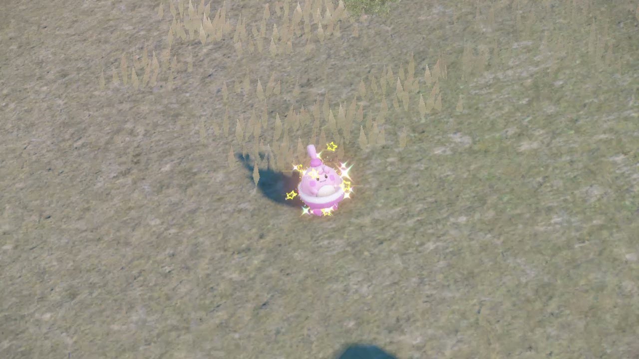 【イベント大量発生】ピンプク　色違い【ポケモンSV】