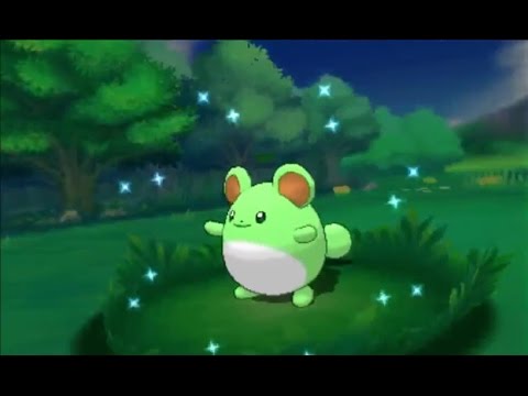 3DS【ポケモン ORAS】shiny Marill 色違い マリル 色違 瑪力露