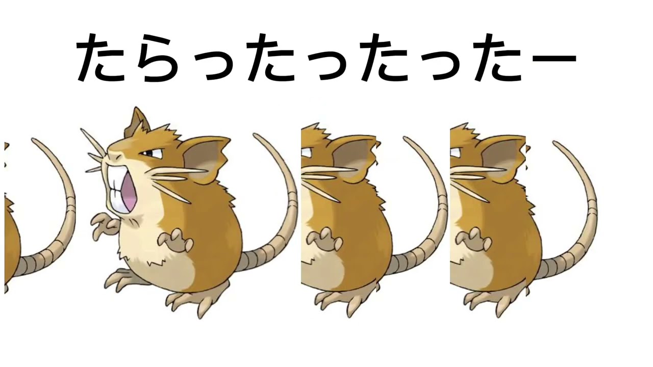 ラッタで遊ぼう