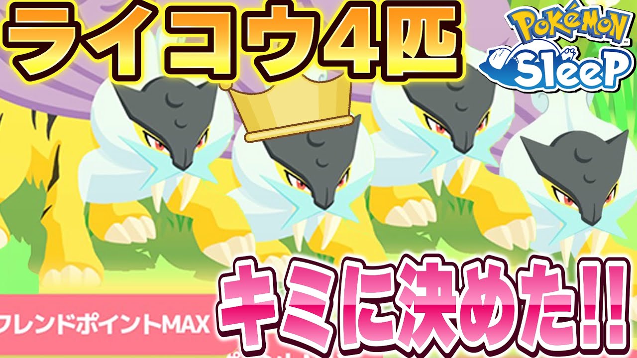 ライコウ4匹仲間にした結果…この子を使っていきます！！【ポケモンスリープ】