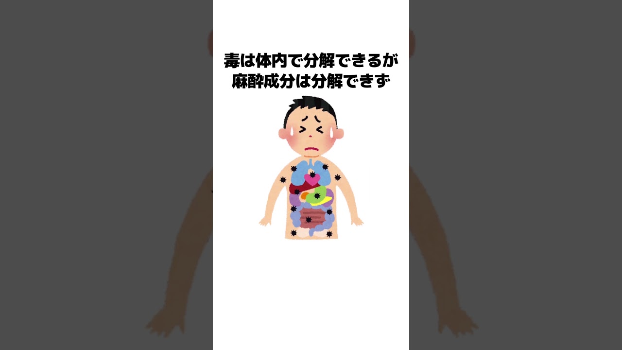 ネッコアラの唾液を飲むと・・・！？ #shorts #雑学 #ポケモン