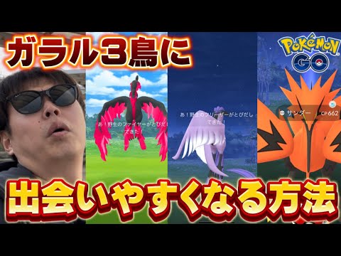 注意点も解説！ガラル3鳥捕獲のプロが1時間半おさんぽおこうで狙ってみた結果【ポケモンGO】
