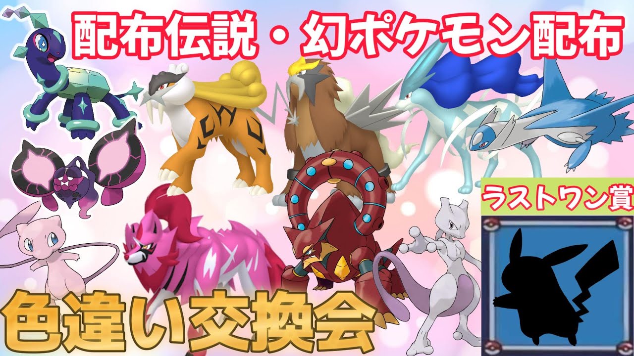 ポケモン色違い配布会ライブ『伝説配布』『レアな幻配布』ボルケニオン・ネクロズマ・テラパゴス・モモワロウ・ミュウ・ミュウツー・ムゲンダイナ・ザマゼンタ。ラストワン賞はコウが追っかけているあの黒い・・・