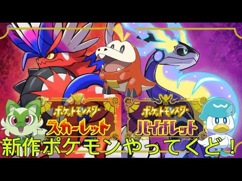 【ポケモンSV】モクローとガチ勝負しますwww