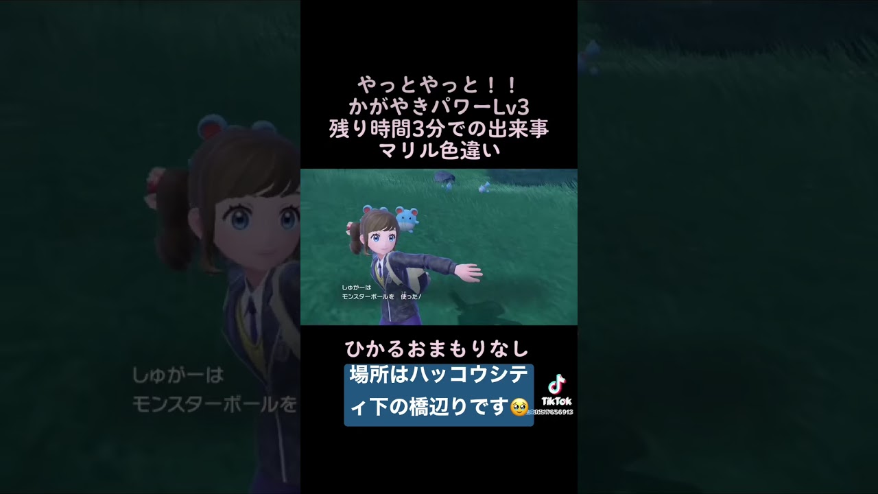 ポケモンSVマリル色違い ひかるおまもり無し かがやきパワーLv3使用 #マリル #色違いポケモン #かがやきパワーLv3 #ひかるおまもり無し #ポケモンバイオレット