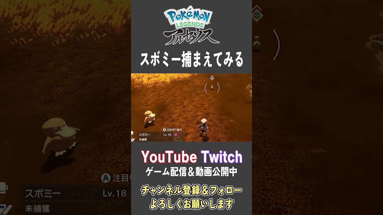 スボミー捕まえてみる【Pokemon LEGENDS アルセウス】【#Shorts】【#56】