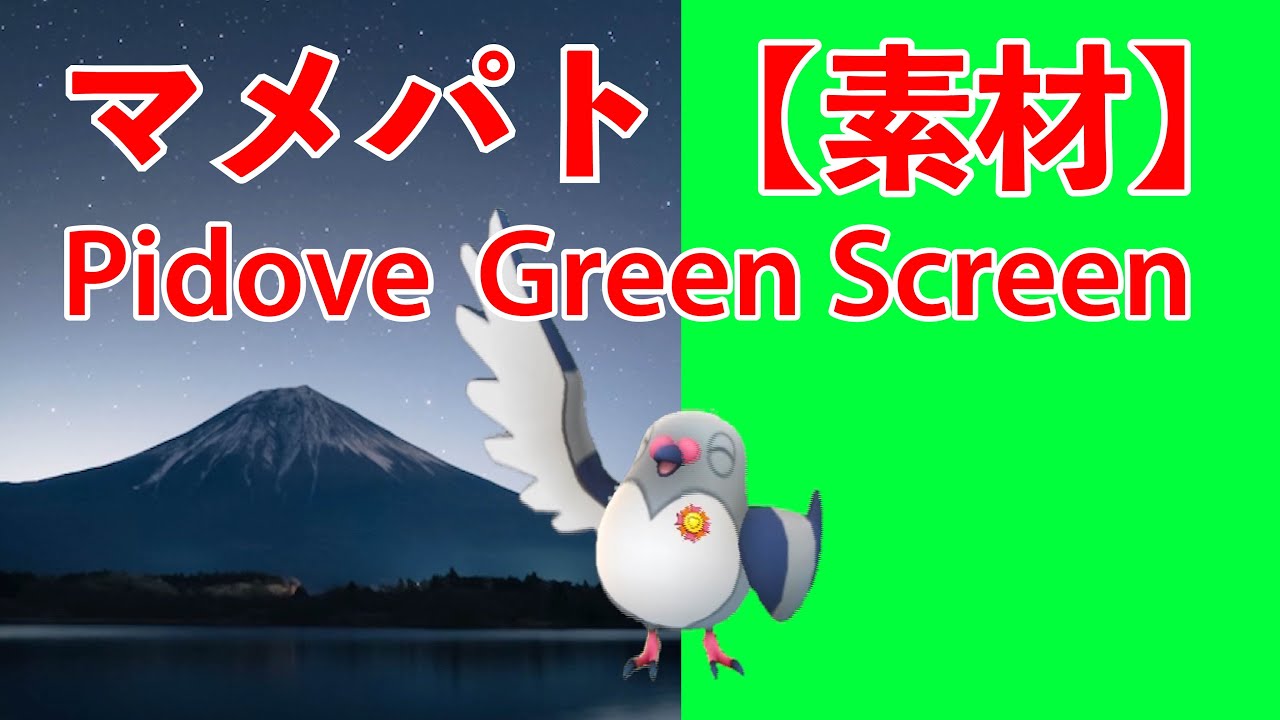 【GB素材】色違いマメパトのガンバリボンゲットの瞬間♫